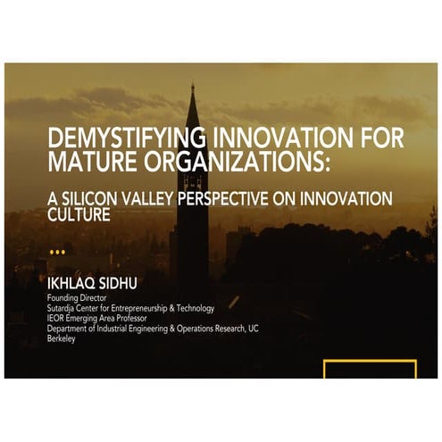 Demystifying Entrepreneurship for Mature Organizations (Germany)