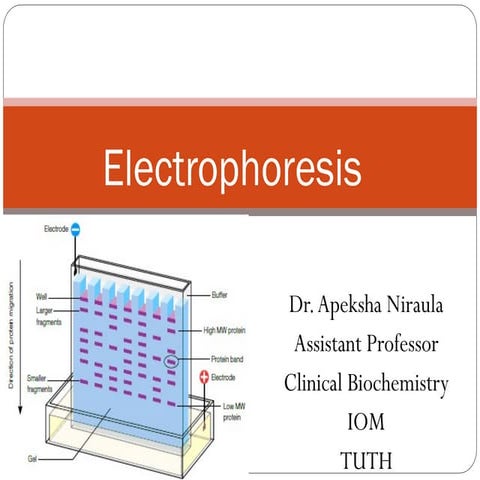 Electrophoresis for medical students and laboratory professionals