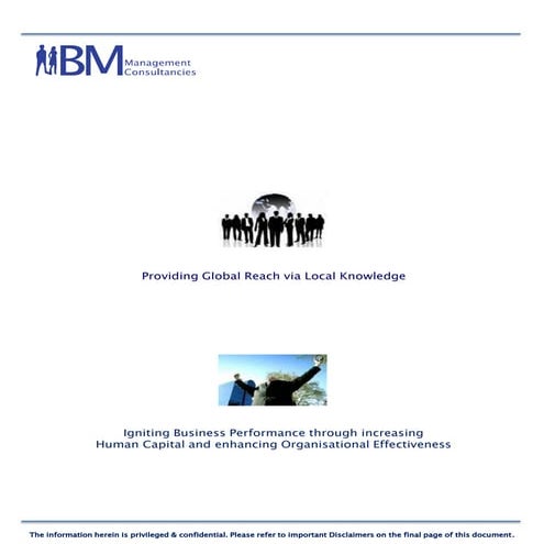 BM Management Consultancies E-Brochure