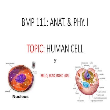BMP 111 LECTURE 3&4.pptx