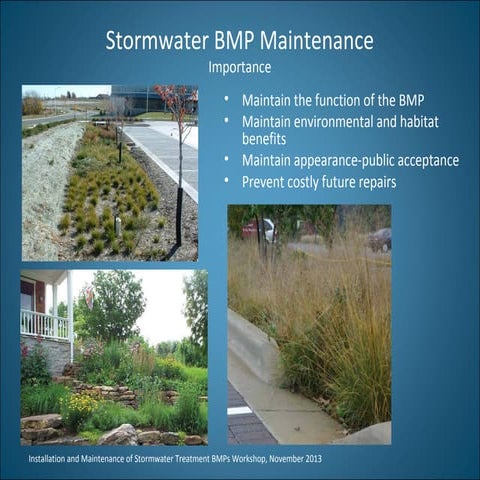 BMP maintenance | PPT