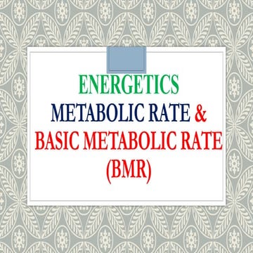 BMR.12345678912345671234567812345671pptx