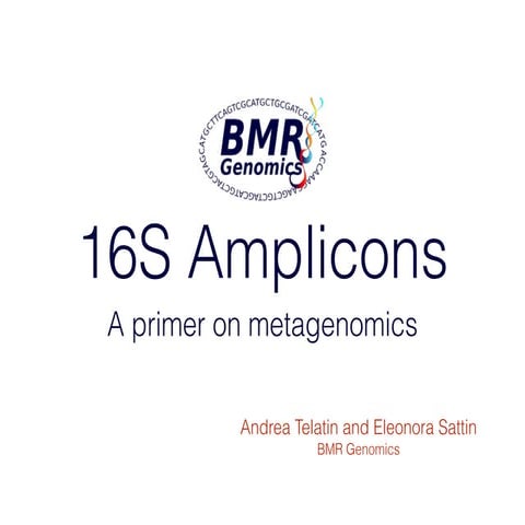 Introduction to 16S Analysis with NGS - BMR Genomics