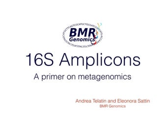 Introduction to 16S Analysis with NGS - BMR Genomics