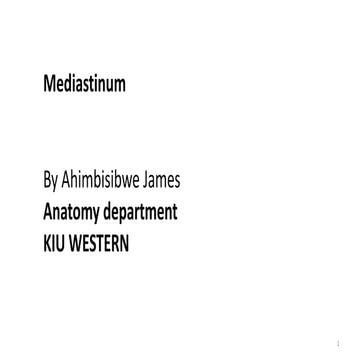 BMS Mediastinum.gross anatomy year 2.1 exrensive