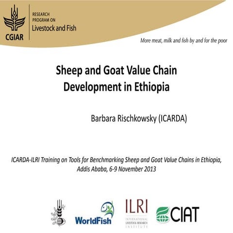 Sheep and Goat Value Chain Development in Ethiopia