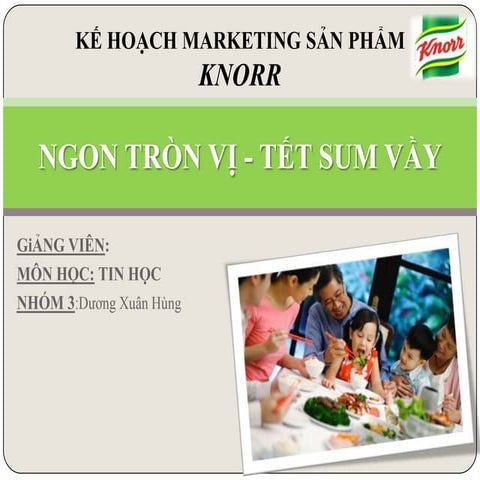 digital-marketing-knorr-ppt