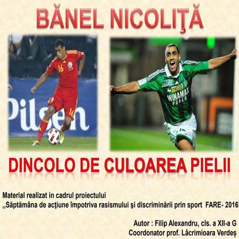Bănel Nicoliţă - proiect FARE 2016
