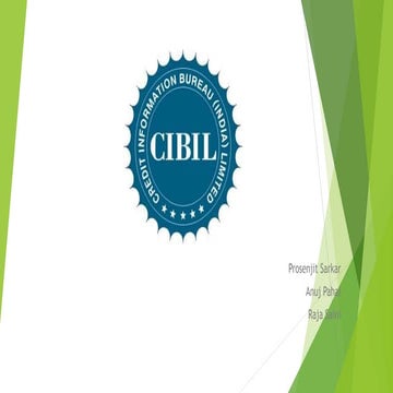 Banking & Financial Services - CIBIL