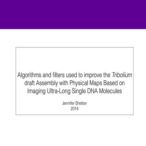 Bng presentation draft