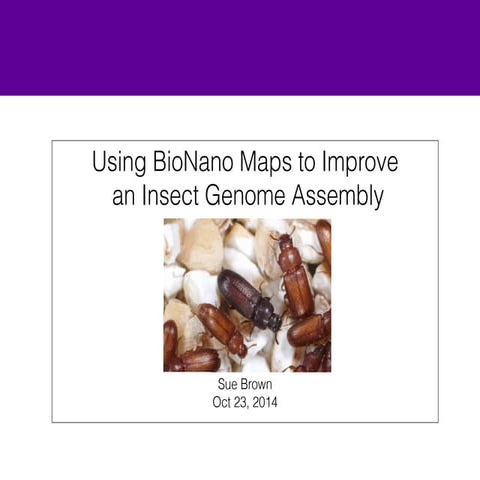 Using BioNano Maps to Improve an Insect Genome Assembly​