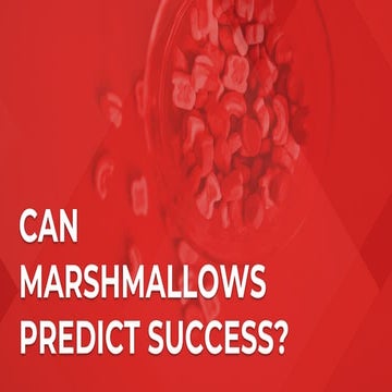 Can Marshmallows Predict Success?