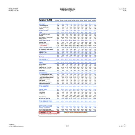 Bnm   analisis financiero estructural nov 2000 - oct 2001