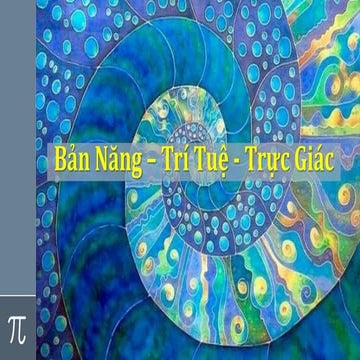 Bản Năng - Trí Tuệ - Trực Giác 