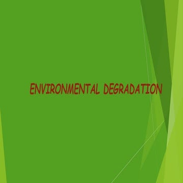 Bn xhakaza 216072499