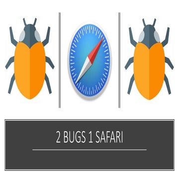 Armsec 2017 | 2 bugs 1 safari
