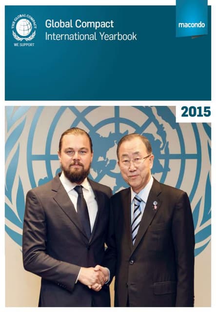 Max energy article ungc yearbook 2015