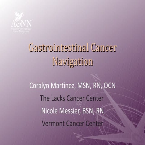 Gastrointestinal Cancer Navigation