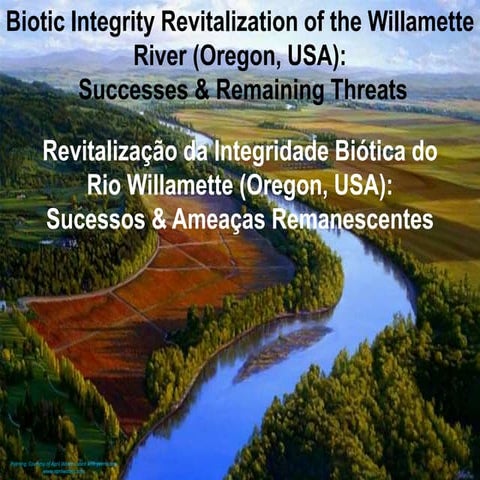 Integridade Biótica: Revitalização do Rio Willamette 