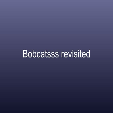 Bobcatsss revisited