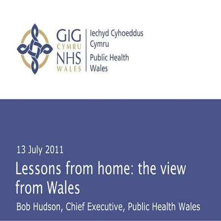 Bob Hudson: Public health lessons from home: The view from Wales