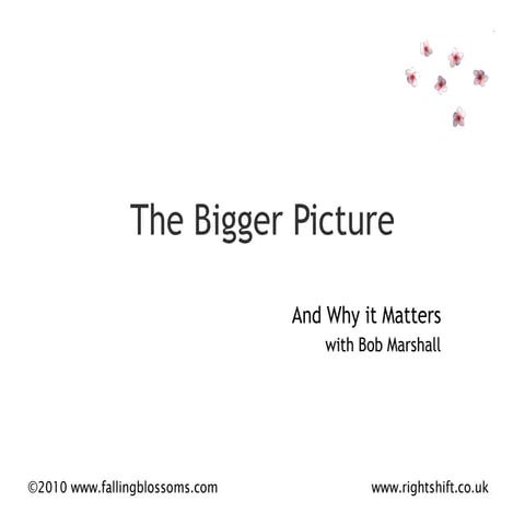 Bob Marshall The Bigger Picture