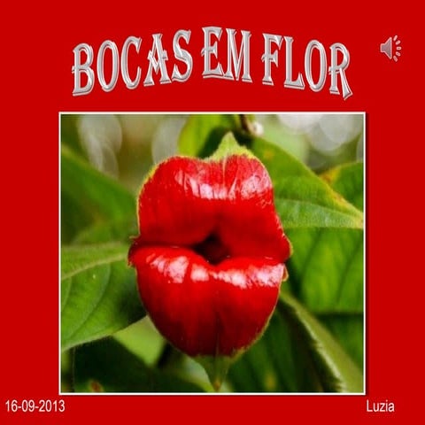 Bocas em flor