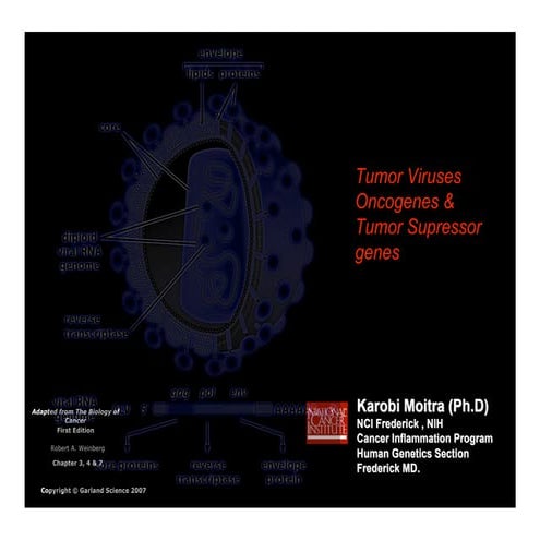 Biology of cancer, lecture 2 tumor viruses,oncogenes,tsgs 