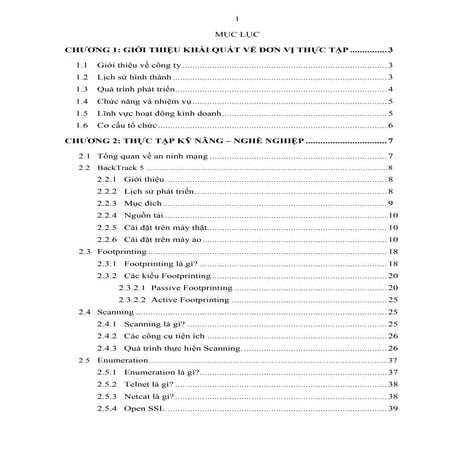 Báo cáo cuối kỳ athena  backtrack và các công cụ kiểm tra an ninh mạng