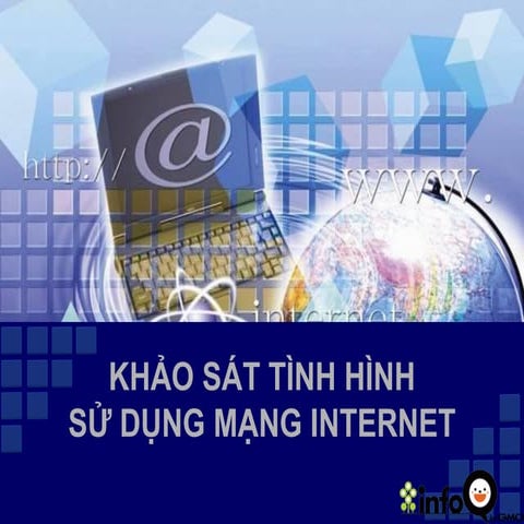 Báo cáo nghiên cứu tình hình sử dụng Internet