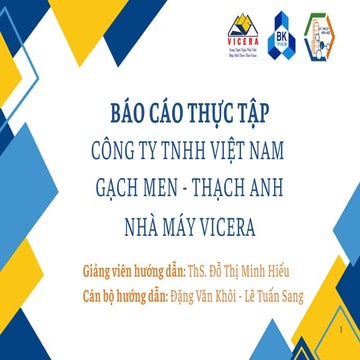 BÁO CÁO THỰC TẬP CTY TNHH VIET NAM VICERA