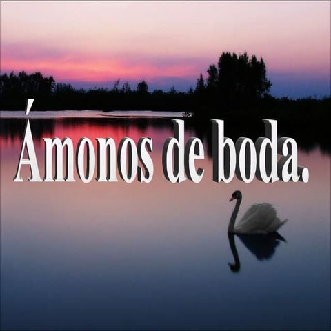 Bodas y parejas simpáticas