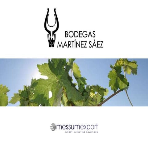 Bodegas Martinez Saez