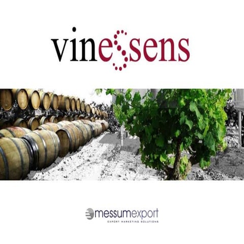 Bodega vinessens   presentation slide share