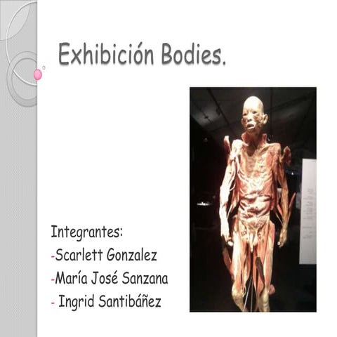 Comprehensive Study of Human Body Cavities and Vital Organs for Health ...