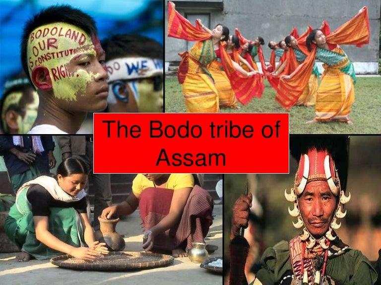 A study of the local tribes of Assam Bodo under ISA by the students…