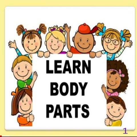 Body parts kindergarten open class or topic | PPT