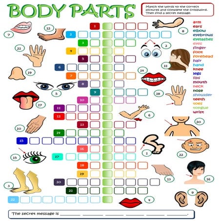 Body parts-crossword | PDF