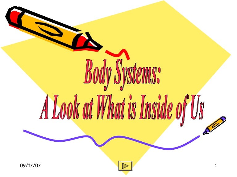 Body Systems