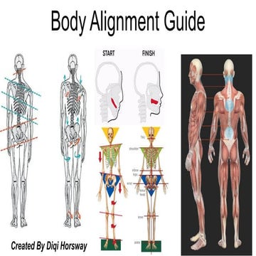 Pelvic clock | PDF