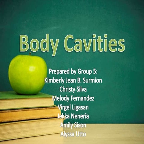 Body cavities