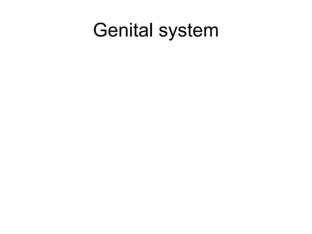 Body cavities