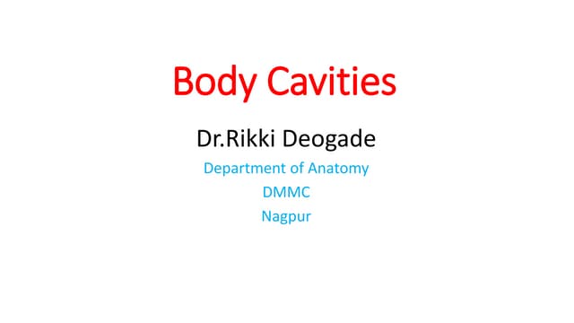 Body cavities