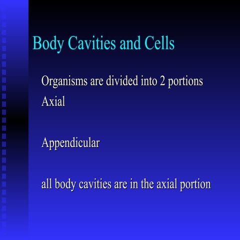 Body cavities and cells