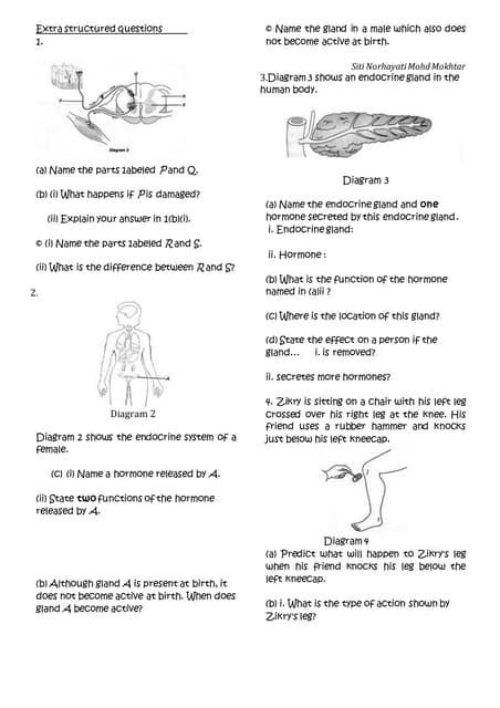 Contractor Coordination Training | PDF