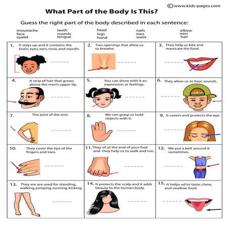 Body descriptions | PDF