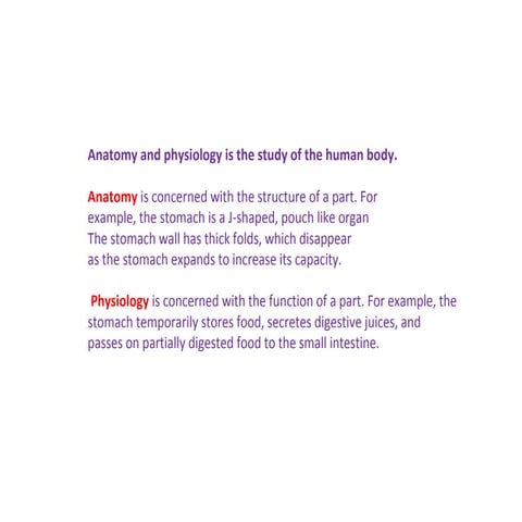 Body directions- regions -planes 