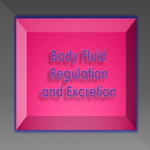 BODY FLUID REGULATION AND EXCRETION