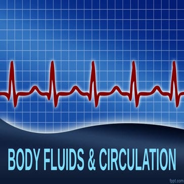 body fluids and its circulation for puc students | PPTX