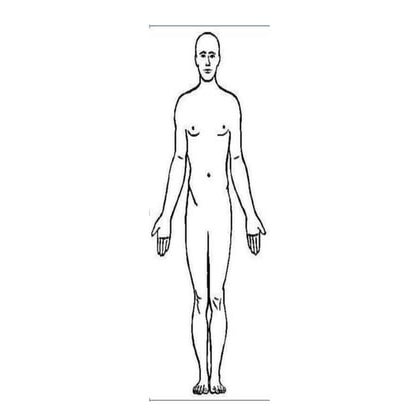 body outline.docx